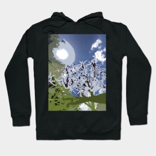 ALLIUM flower garden photography digitally painted, blue gray white green Hoodie